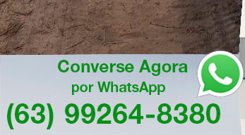 
    ESCOLHA A DATA DO SEU PACOTE

              PARA O JALAP�O

      E GARANTA A SUA RESERVA

                Converse agora

      com a PORTAL EXPEDI��ES 

      Clique Aqui e Acione o seu WhatsApp

      Direto no nosso n�mero: 63 9 9264-8380

* o WhatsApp tem que estar instalado nesse dispositivo    
   para esse link funcionar

